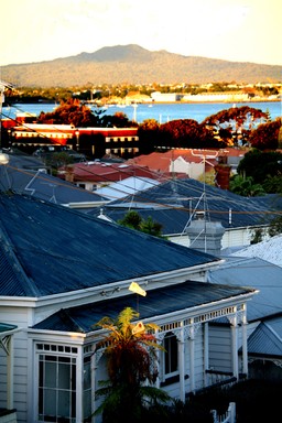 Taken in Ponsonby shoes on a power line looking out to Harbour